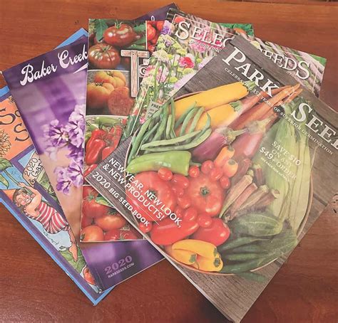 Plan Your Plantings With Seed Catalogs Bay Weekly