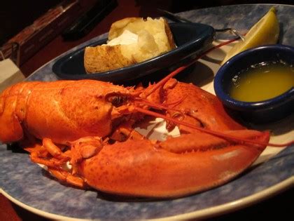 Minimum age for employment at red lobster. Download Red Lobster Job Application Form | PDF wikiDownload