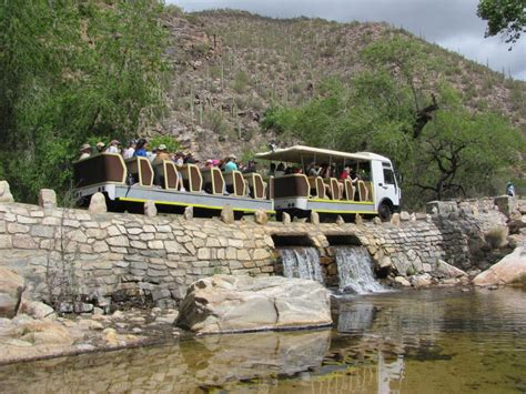 Steller Forest Service Shouldnt Compromise On Sabino Trams Latest