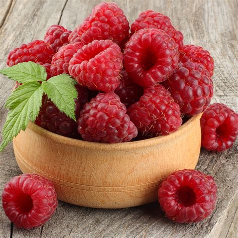 Weitere ideen zu garten, gartendekoration, gartengestaltung ideen. Himbeere Schönemann kaufen | Ahrens+Sieberz ...