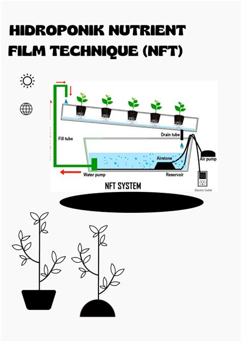 Hidroponik Nutrient Film Technique Nft Solusi Sistem Pertanian Di