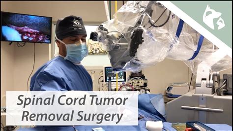 Spinal Cord Tumor Removal Surgery Vlog 14 Youtube
