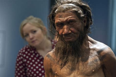 Neanderthals Practised Primitive Dentistry 130000 Years Ago Research