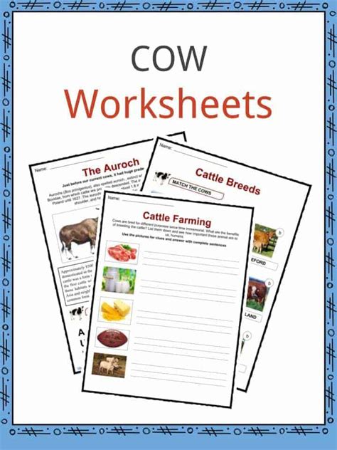 Cow Facts Anatomy Breeds And Uses Worksheets For Kids Kidskonnect