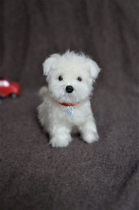This facebook page is dedicated to the shih tzu. Assorted Needle Felted Puppies: Maltese, Shih Tzu, Bichon ...
