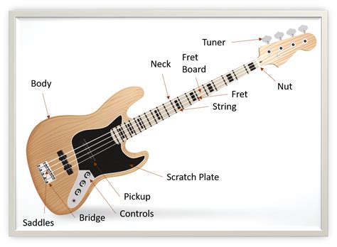 What Are The Parts Of A Bass Guitar Mozart Project