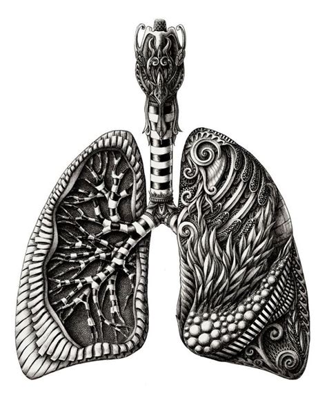 Anatomy Part 1 On Behance Lungs Art Anatomy Art Ink