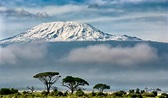 Your Detailed Guide to Climbing Mount Kilimanjaro (Updated 2024)