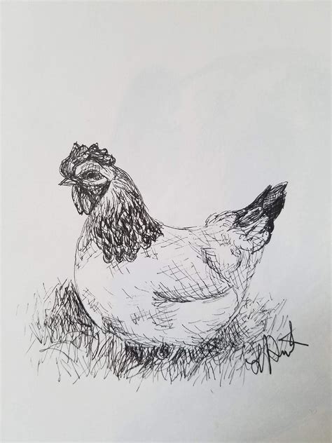 Chicken By Laura Jaen Hen Drawing Original Art Ink Etsy Drawings
