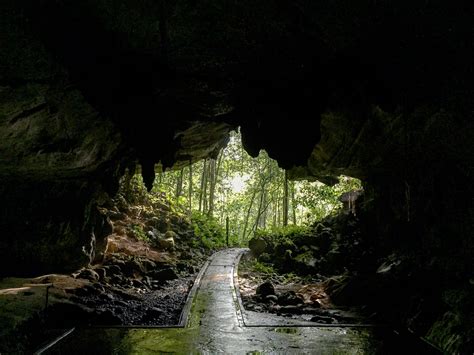 The Deer Cave Gunung Mulu National Park Borneo Borneo Gunung Mulu