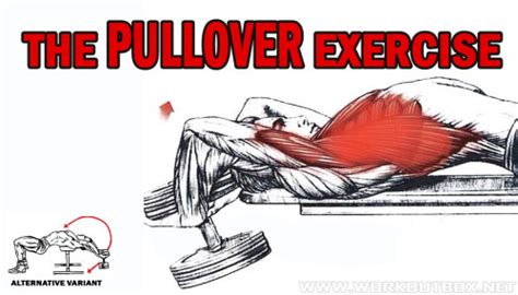 The Pullover Exercise Fitness Workouts And Exercises