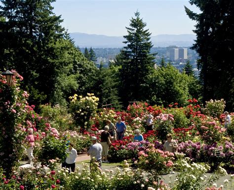Denver park and parkway system. The Portland Rose Garden in Washington Park features more ...