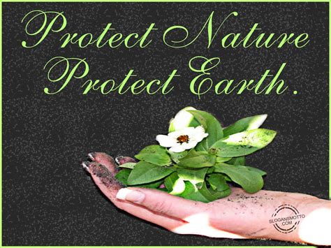 Earth Protection Poster With Slogan The Earth Images Revimageorg