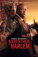Godfather of Harlem - Full Cast & Crew - TV Guide