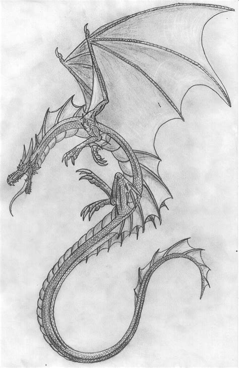 Dragon Sketch Easy Dragon Drawings Dragon Drawing