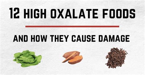You can check in the above oxalate food chart collection. 12 High Oxalate Foods and How They Cause Damage