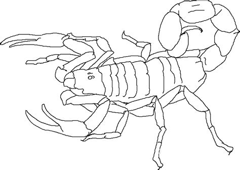 21 Coloring Pages Scorpion Aitchaeriesh