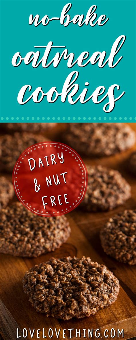 Inspiring you to fall in love with cooking! Dairy- and Nut-Free No-Bake Oatmeal Cookies - it's a love ...
