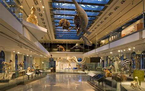 Natural History Museum Of Los Angeles County Discover La Mirada