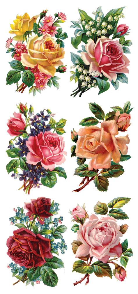 Use these decorative floral stickers, frames and patterns in your own design. Y104-Doris | Vintage flower tattoo, Flower art, Vintage ...