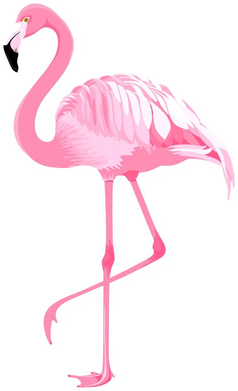 Library Of Valentines Day Flamingo Graphic Black And White