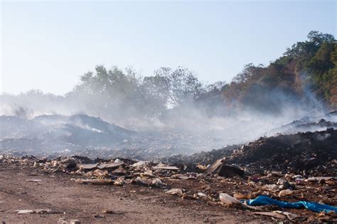 PCBs, the infamous chemicals harming the environment - LifeGate