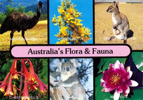 Kepentingan Flora Dan Fauna