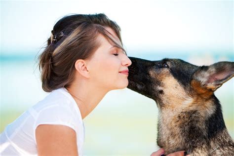Can A Dog Sense Human Emotions Nurture Your Pet
