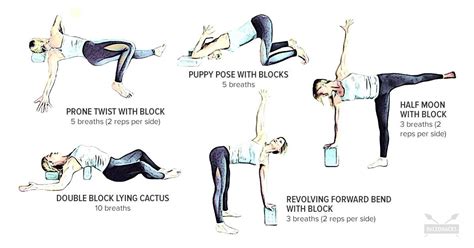 Yoga Flexibility Exercises For Beginners