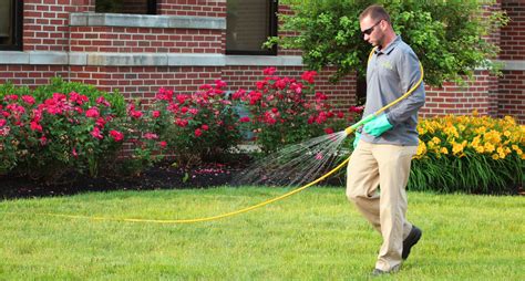Lawn Care Tip Brooklawn Services
