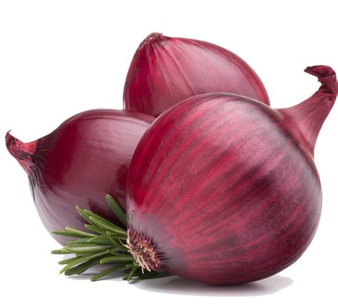 Collection Of Onion Hd Png Pluspng