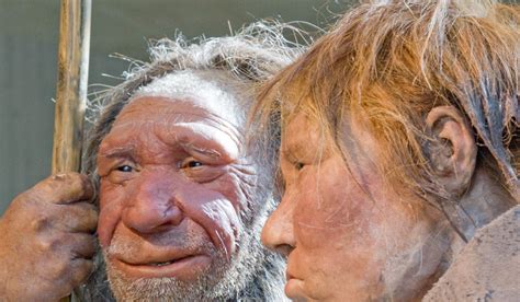 Us Scientists Using Dna Find There Were More Neanderthals Than