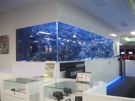 Large Size Saltwater Wall Mounted Aquarium In The Office Saltwater