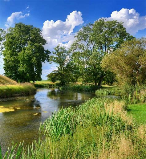 On The River Bank Elizabethan Water Garden Lyveden Northamptonshire
