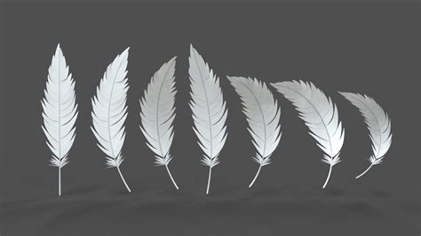 Feathers Set 7 Assets 3d Model Cgtrader