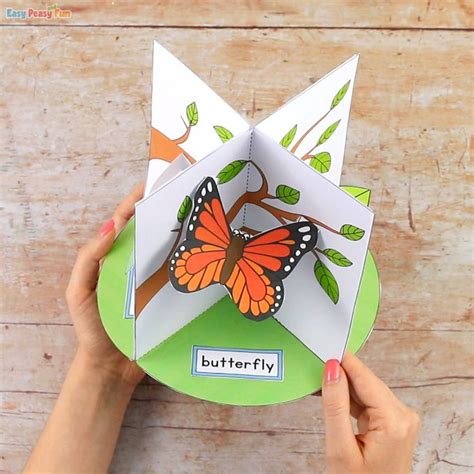 3d Butterfly Life Cycle Craft Artesanías De Mariposa Manualidades