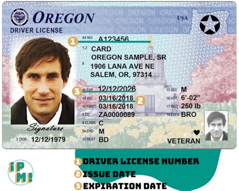 Drivers License Number Where Is It What Is It