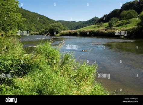 Semois Hi Res Stock Photography And Images Alamy