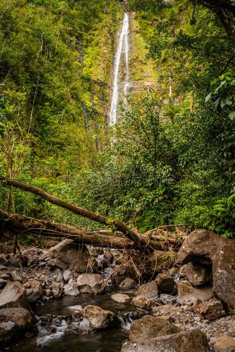 Waterfall And Stream In A Lush Green Tropical Rainforest In Hawaii