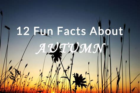 Fun Facts About Autumn Fall Fun Facts Fun Facts About Fall Fun