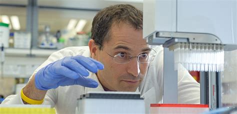 Targeting Dormant Cancer Cells Weizmanncompass