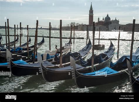 Gondolas Moored At Piazza San Marco In Venice Stock Photo Alamy