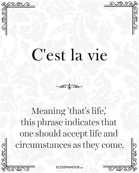 10 Beautiful Sayings That Perfectly Describe The French Way Of Living