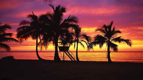 Hawaii Beach Sunset Wallpapers 4k Hd Hawaii Beach Sunset Backgrounds