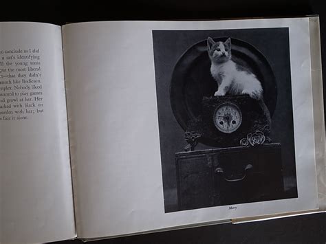The Cats Of Wildcat Hill Charis Wilson Text And Edward Weston