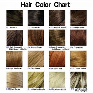 The Ultimate Guide To Hair Color Visual Makeover