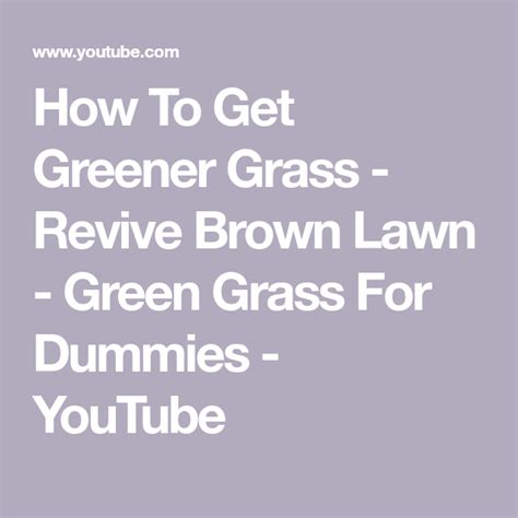How To Get Greener Grass Revive Brown Lawn Green Grass For Dummies