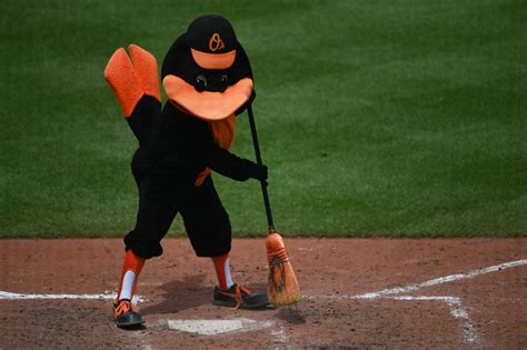 MLB Official Baseball Rules, Annotated: The Playing Field (Part 2