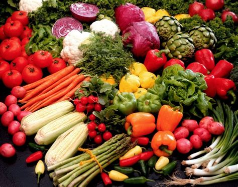 os 15 alimentos que são fontes de vitaminas e minerais 【atualizado】