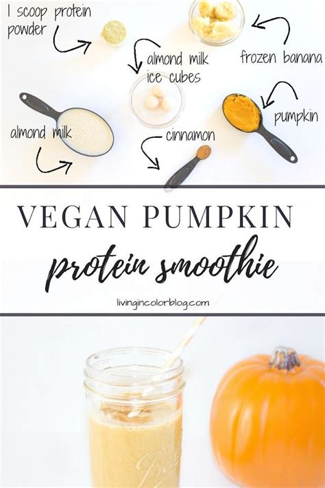 A Delicious Vegan Pumpkin Protein Smoothie I Used A Plant Based